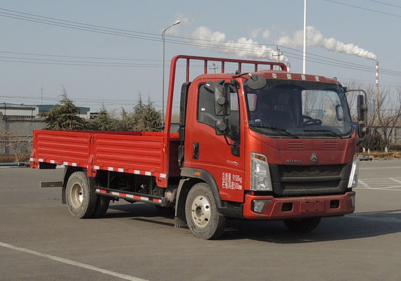 豪沃牌ZZ1097G3315F191载货汽车图片