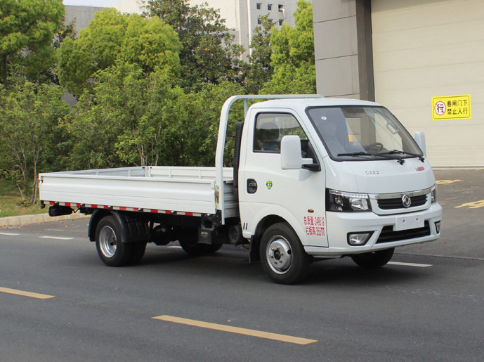 东风牌EQ1033S16QCC轻型载货汽车图片