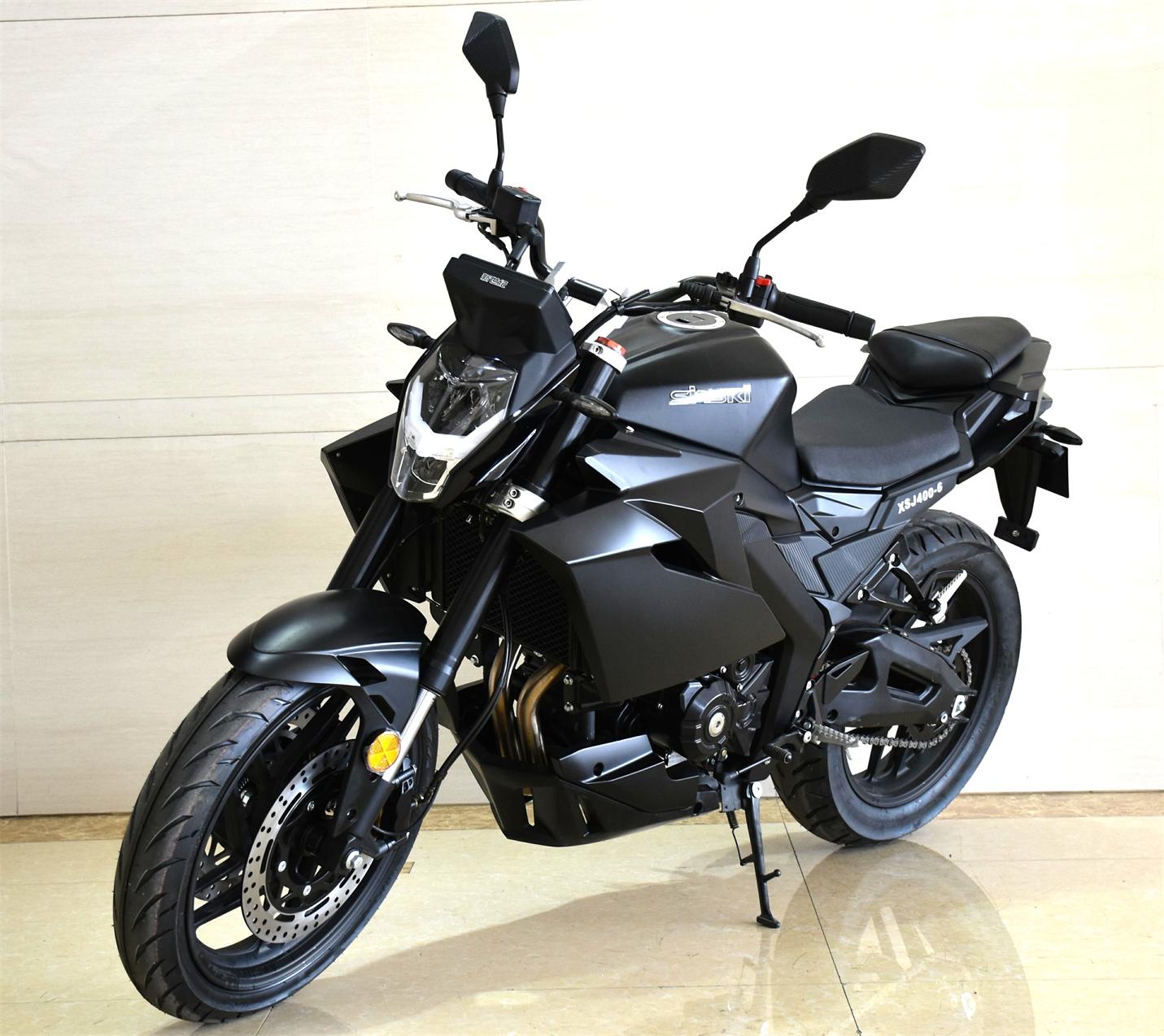 新世纪牌XSJ400-6两轮摩托车公告图片