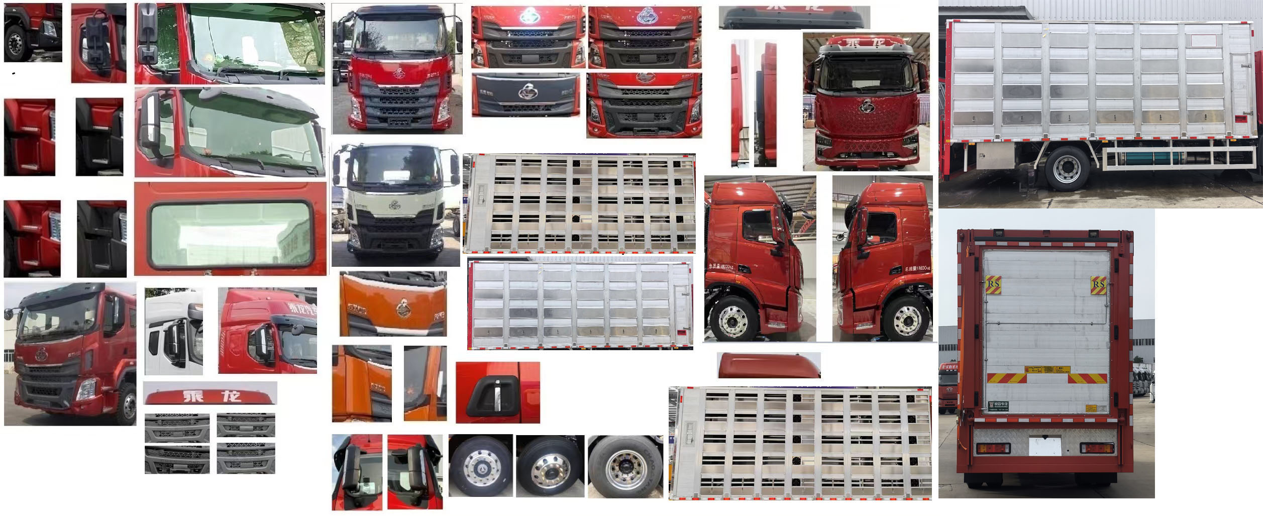 興邦龍牌XBZ5180XCQLZ6雛禽運輸車公告圖片