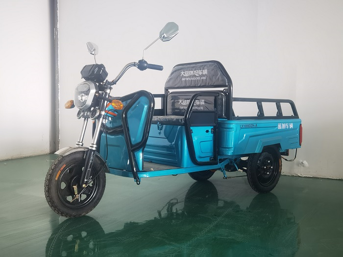 蓝旭牌LX1000DZH-A电动正三轮摩托车公告图片