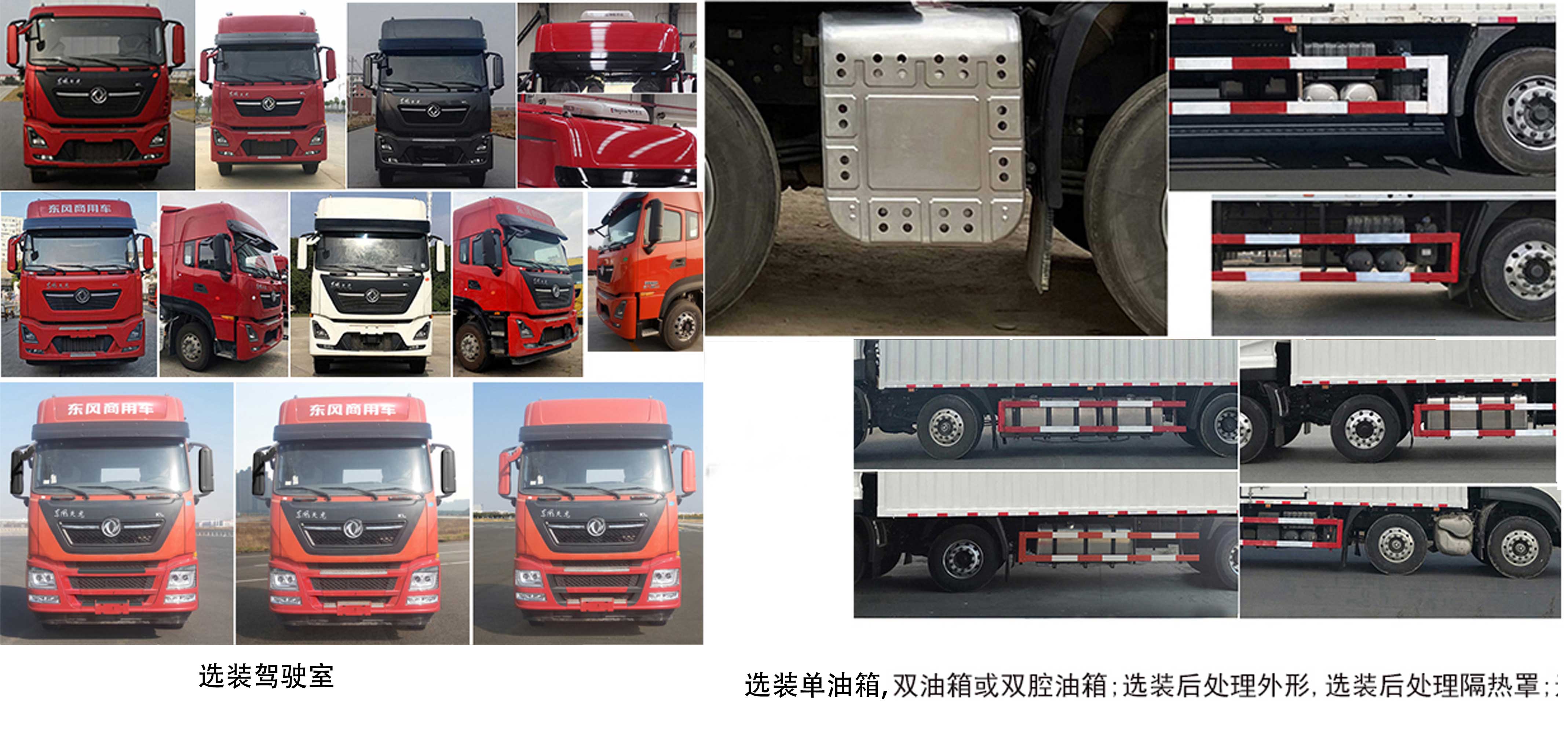 專致牌YZZ5310XLCD6冷藏車公告圖片