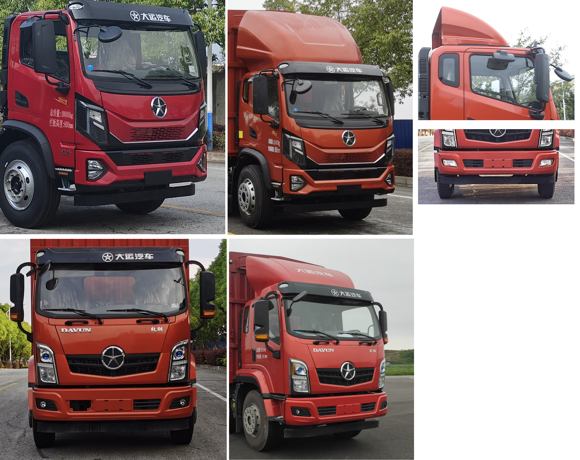 大運(yùn)牌DYQ5187CCYD6AC倉(cāng)柵式運(yùn)輸車(chē)公告圖片