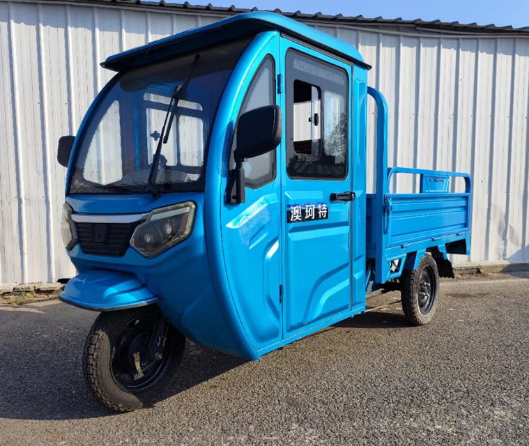 澳珂特牌AKT1000DZH-6B电动正三轮摩托车图片