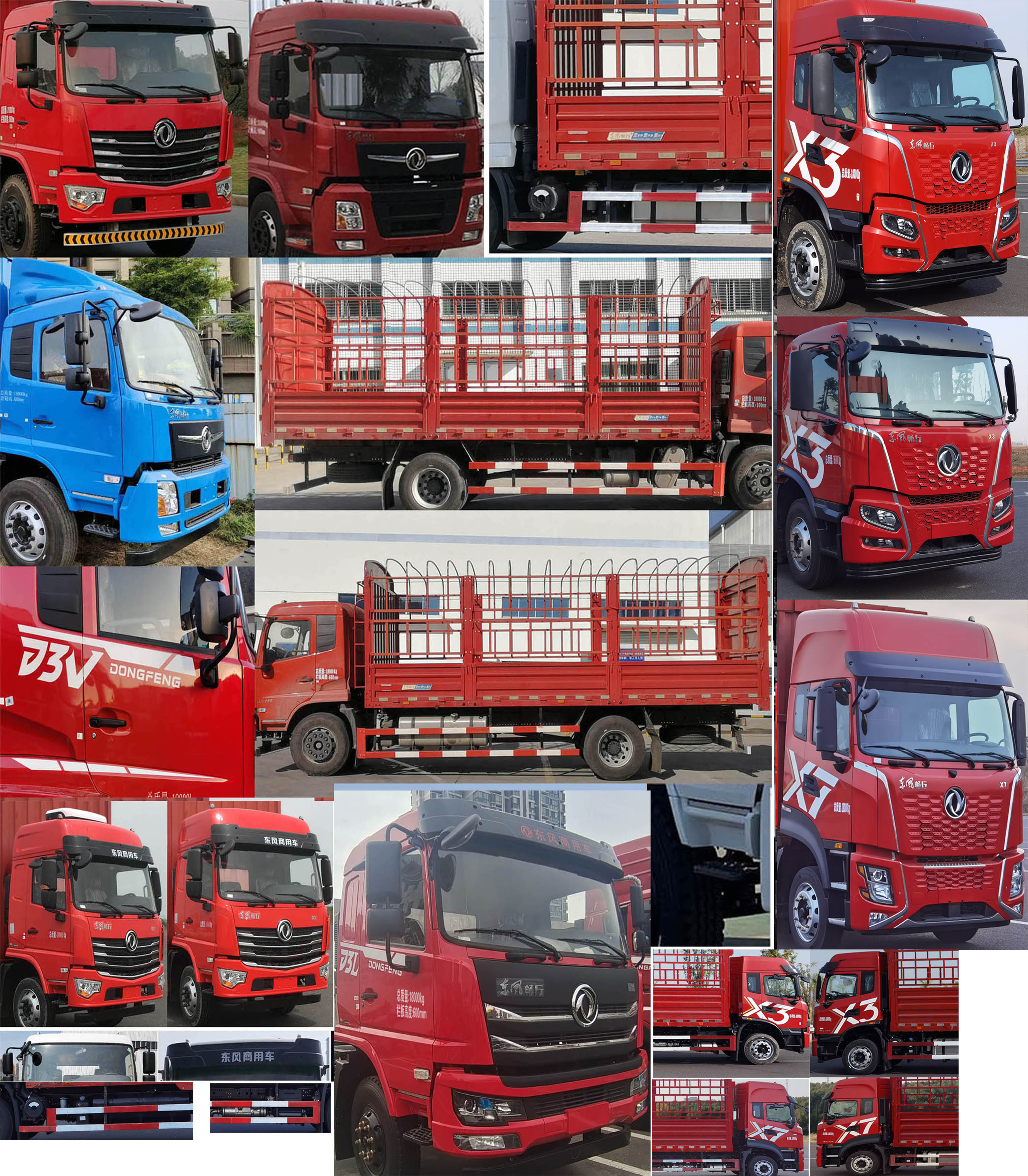 東風牌DFV5183CCYGP6D倉柵式運輸車公告圖片