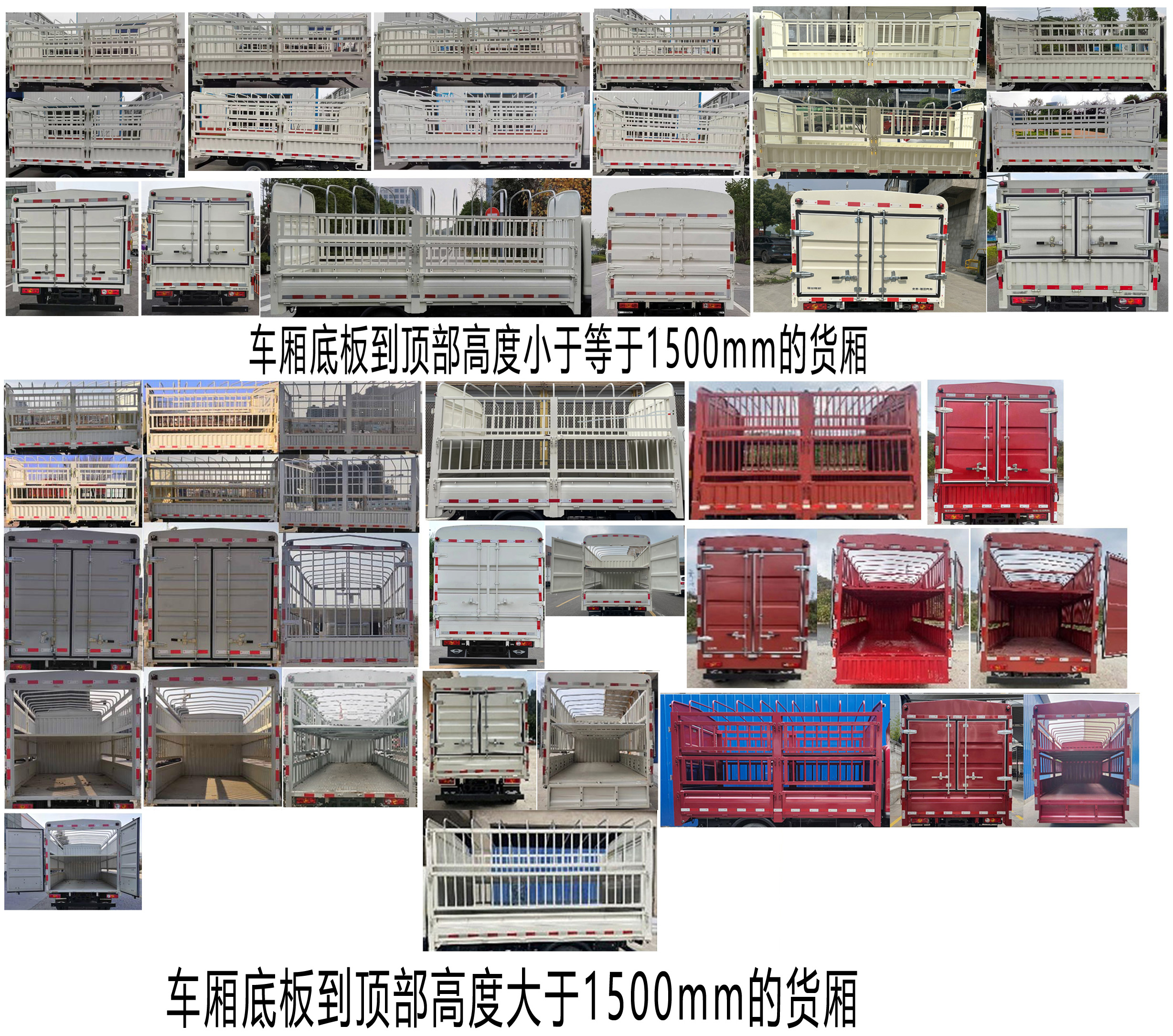 福田牌BJ5045CCY9JBA-21倉柵式運輸車公告圖片