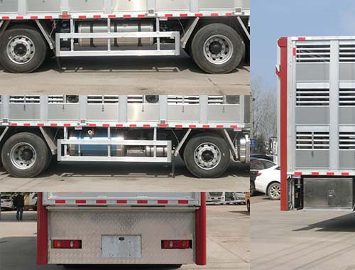 虹宇牌HYS5250CCQE6畜禽運輸車公告圖片