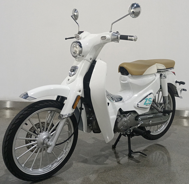 ZS110-13C 宗申牌107CC汽油前盘式/鼓式后鼓式两轮摩托车图片