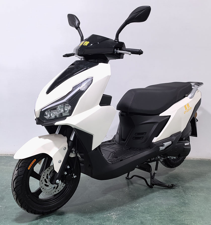 重雅牌CY125T-2D两轮摩托车公告图片