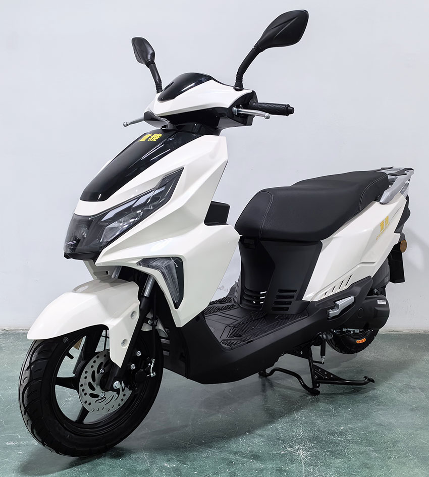 重雅牌CY125T-2D两轮摩托车公告图片