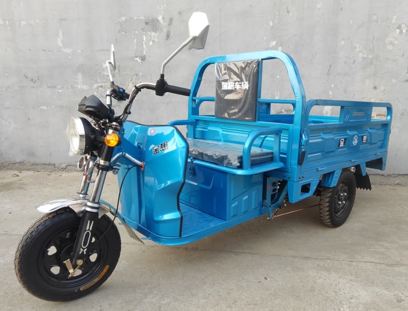 金想牌JX1200DZH-6电动正三轮摩托车图片