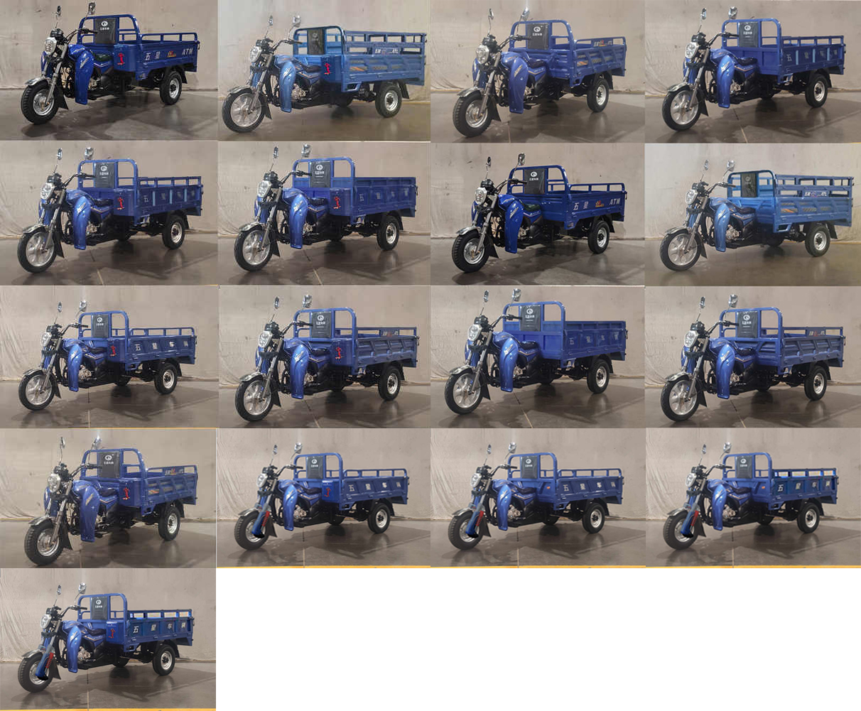 五星牌WX175ZH-22D正三轮摩托车公告图片