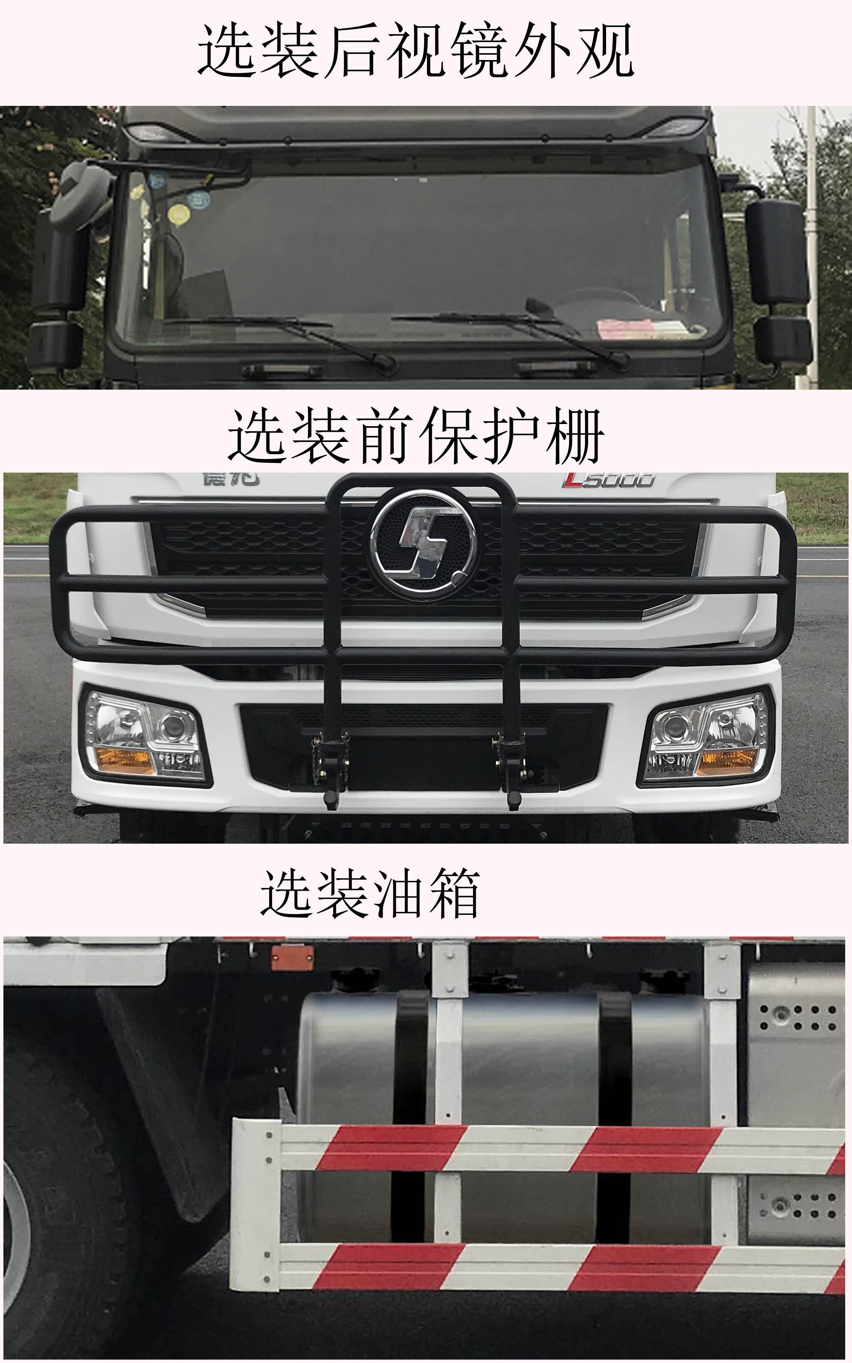 陕汽牌SX1189LB381B1载货汽车公告图片