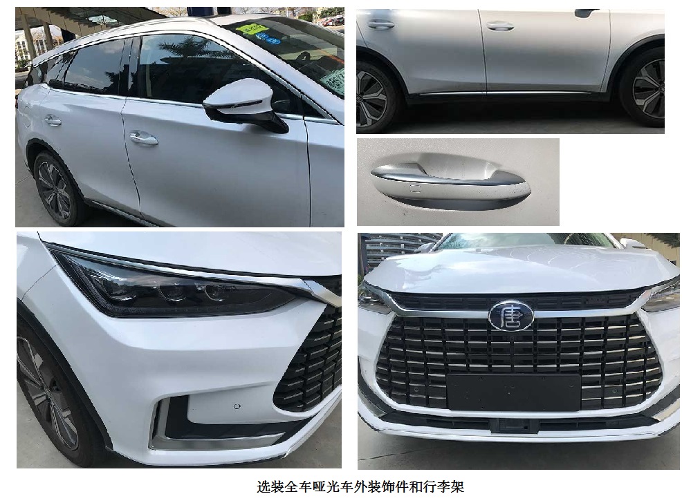 纯电动多用途乘用车图片