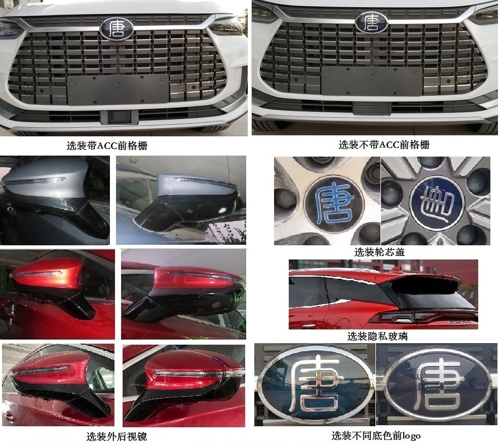 比亚迪牌BYD6490SBEV5纯电动多用途乘用车公告图片