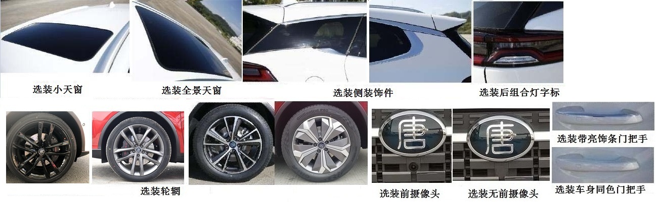 比亚迪牌BYD6490SBEV6纯电动多用途乘用车公告图片