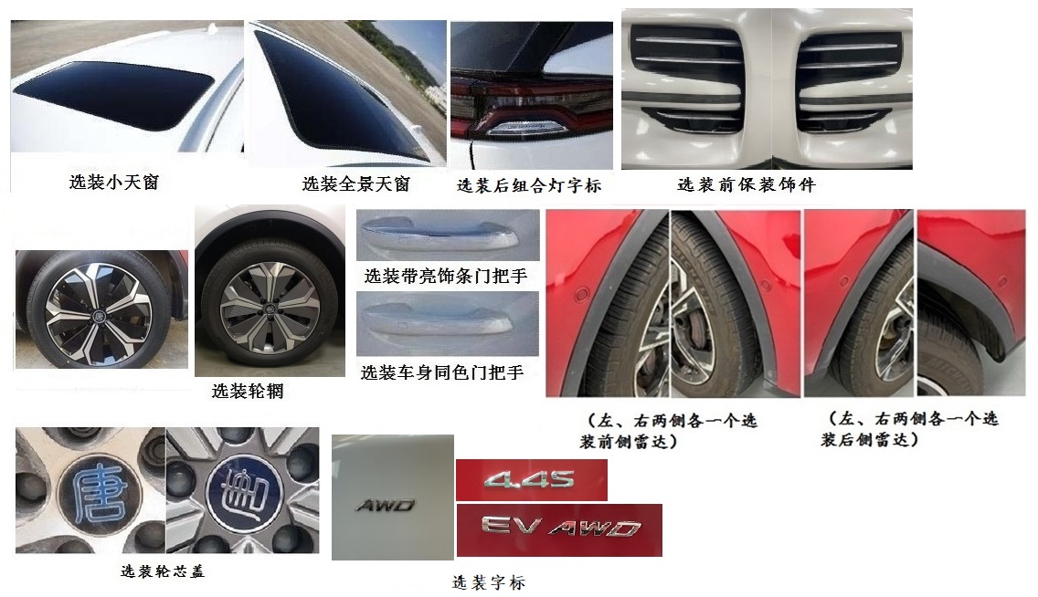 比亚迪牌BYD6490SBEV11纯电动多用途乘用车公告图片