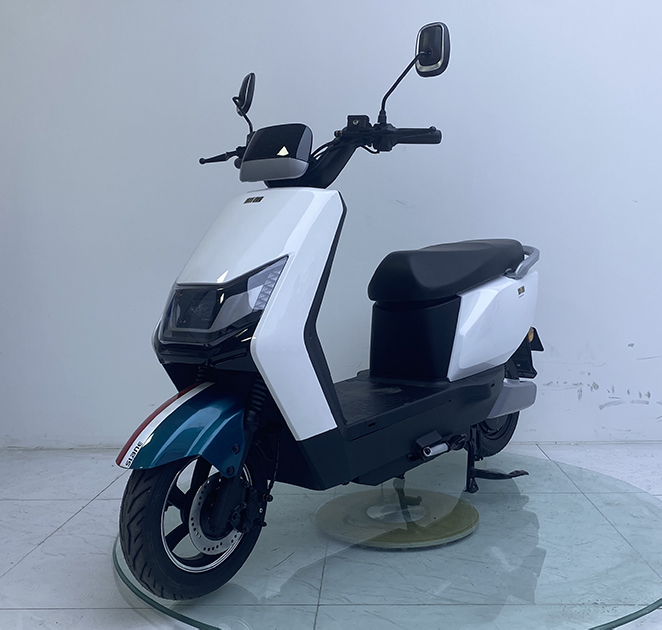 新蕾牌XL1000DT-16A电动两轮摩托车公告图片
