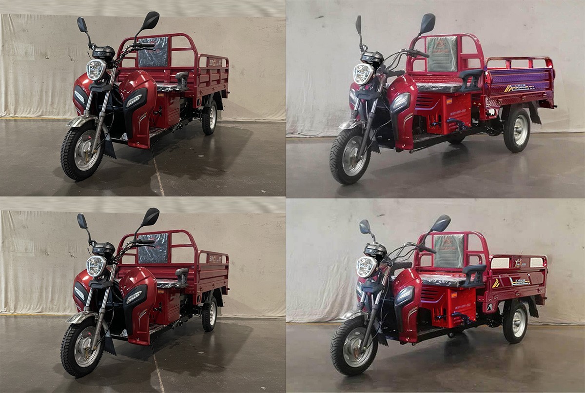 五星牌WX125ZH-20D正三轮摩托车公告图片