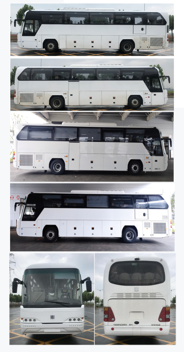 中国中车牌TEG6123H01客车公告图片