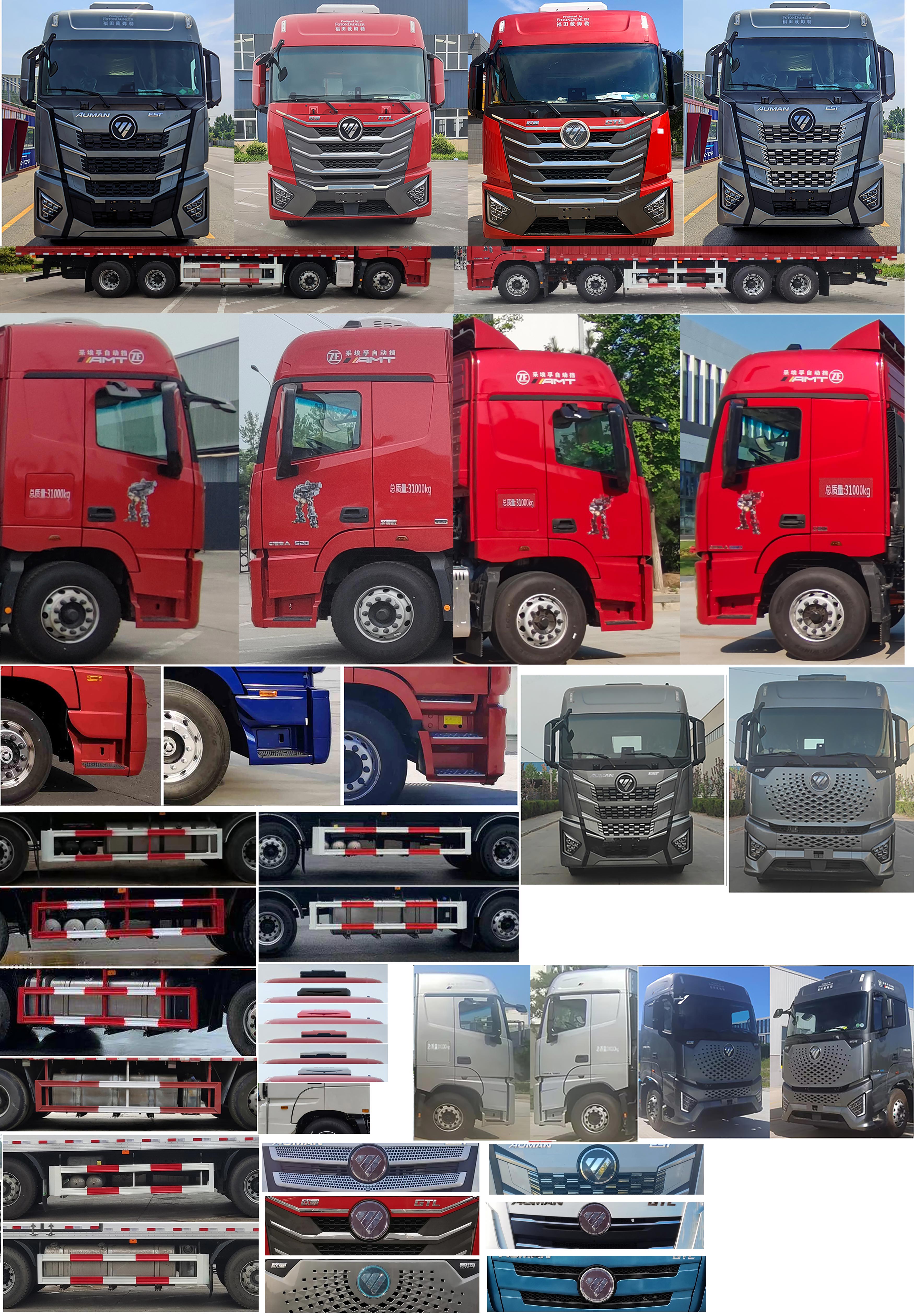 歐曼牌BJ5319ZSLY6GRL-01散裝飼料運輸車公告圖片