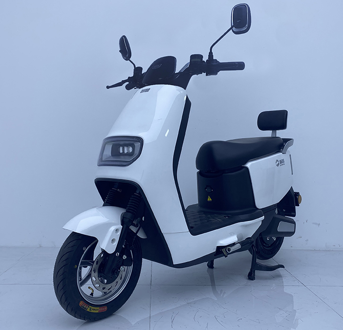 新蕾牌XL1000DT-9A电动两轮摩托车公告图片