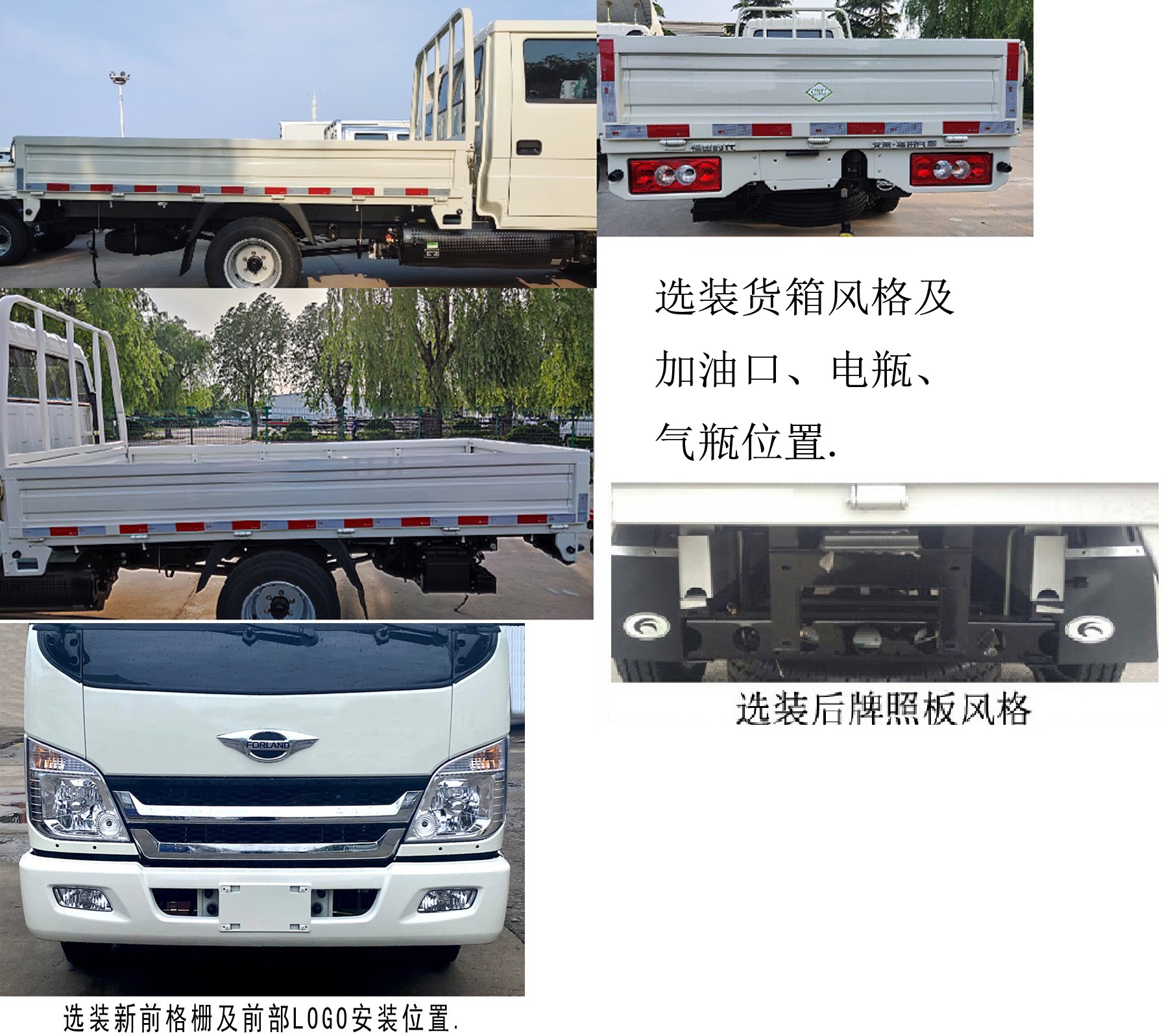 BJ1035V4AC5-12 福田牌105马力单桥CNG3.1米国六载货汽车图片