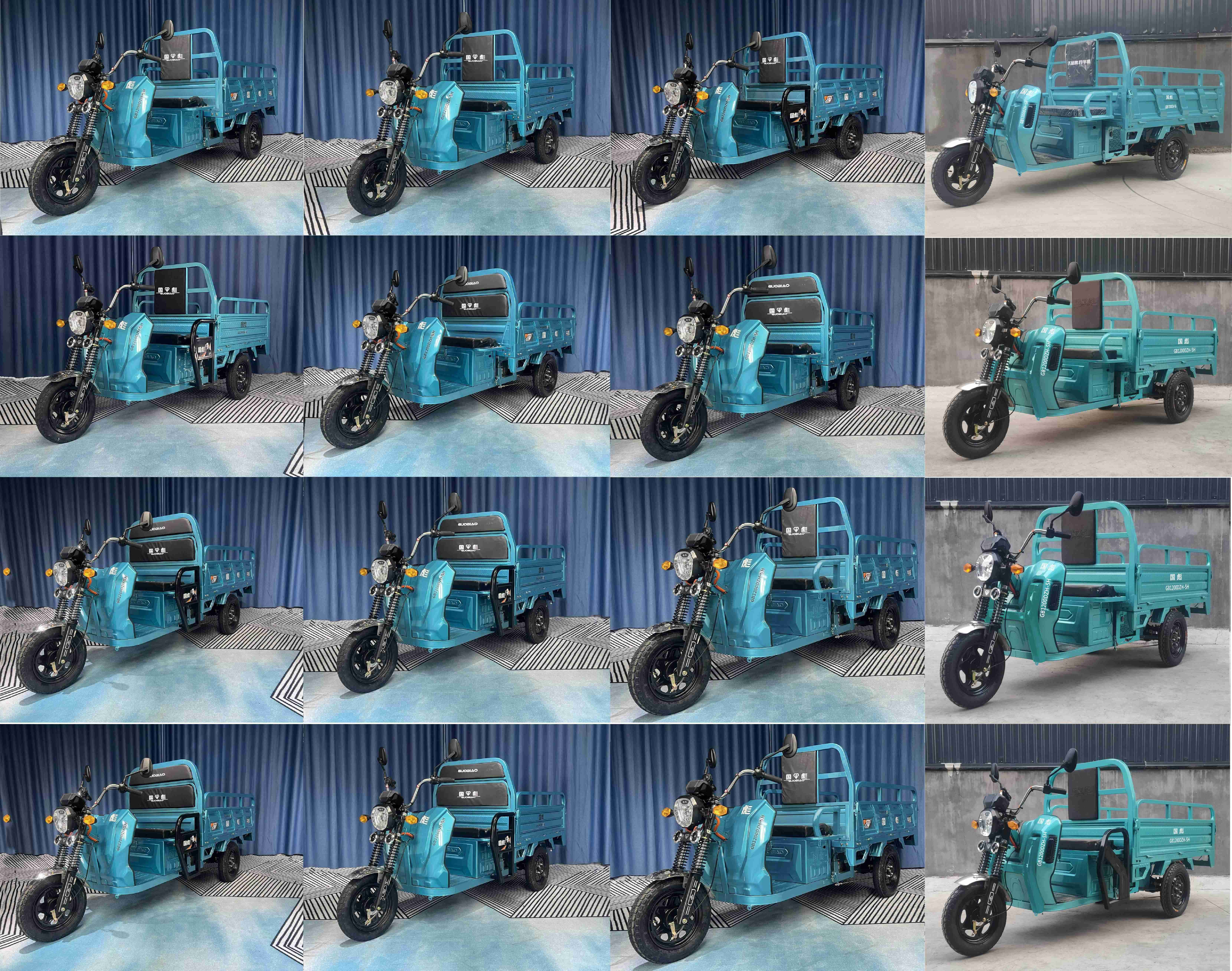 国彪牌GB1200DZH-5H电动正三轮摩托车公告图片