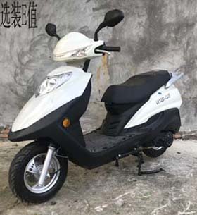 老爷牌LY125T-134E两轮摩托车公告图片