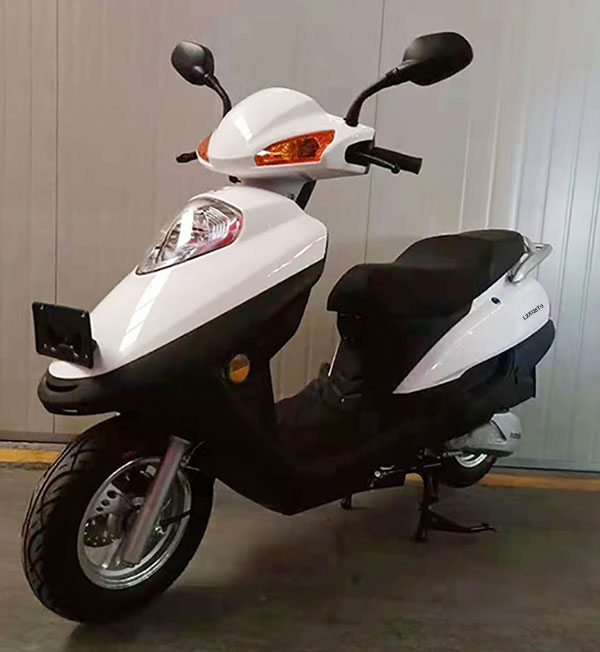 LZX125T-3 力之星牌125CC汽油前盘式后鼓式两轮摩托车图片