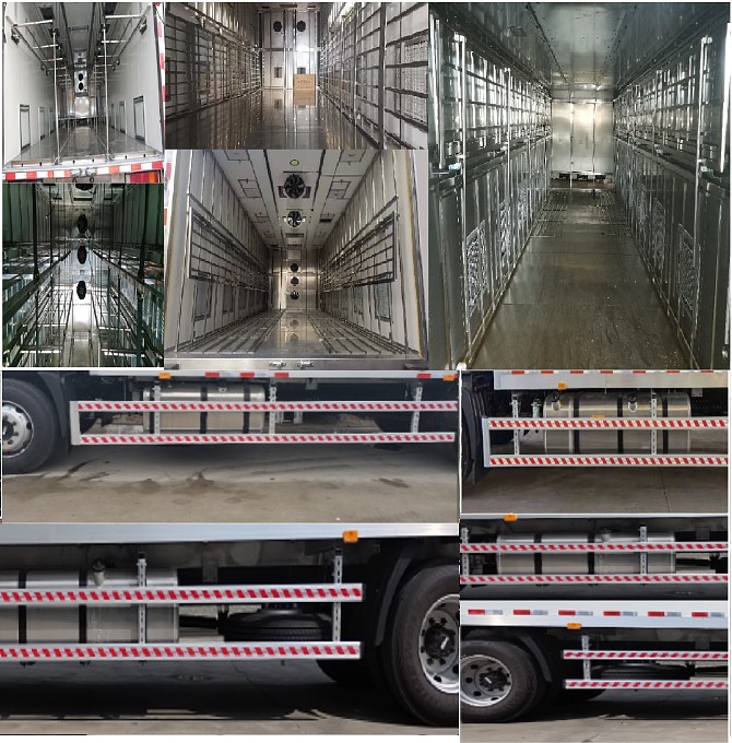 中達(dá)凱牌ZDK5181XCQ雛禽運輸車公告圖片