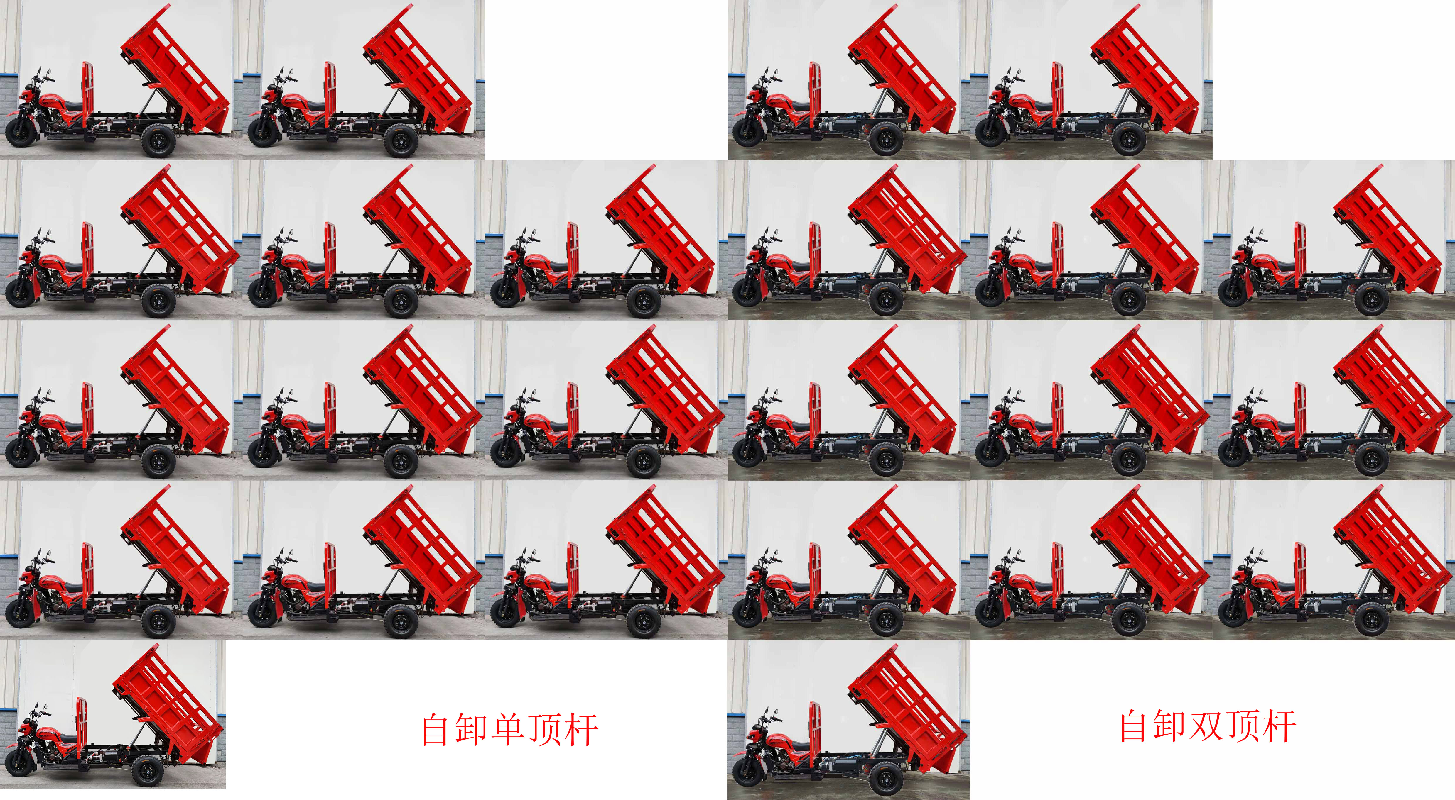 大阳牌DY150ZH-3D正三轮摩托车公告图片