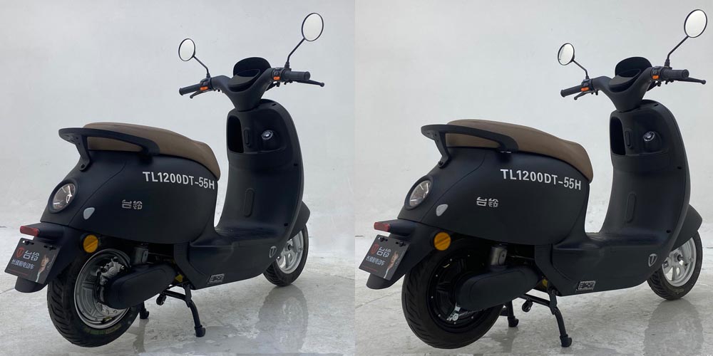 TL1200DT-55H 台铃牌纯电动前盘式后盘式/鼓式电动两轮摩托车图片