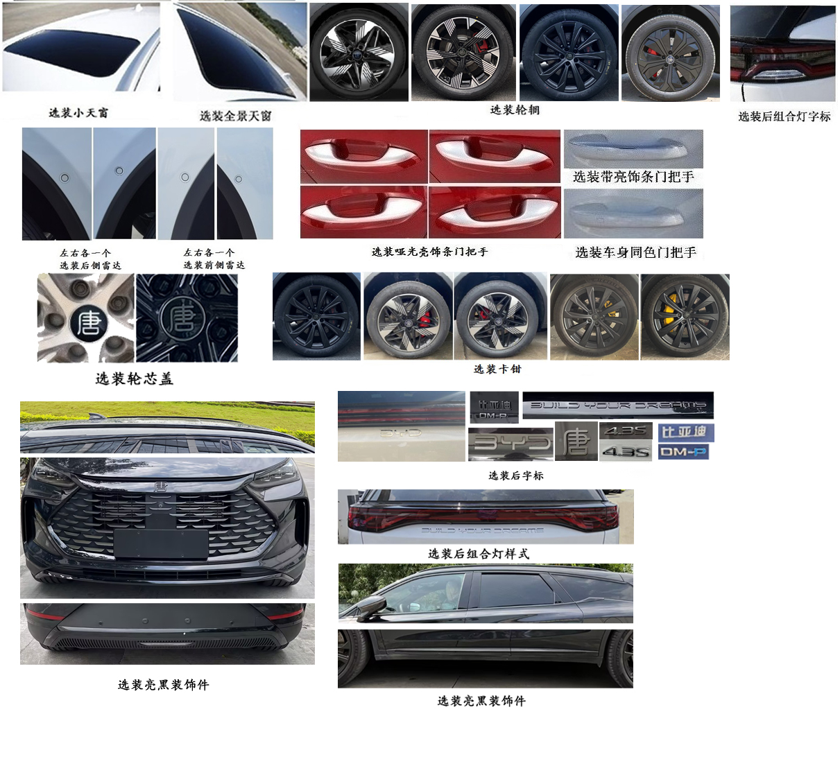 比亚迪牌BYD6490ST6HEV10插电式混合动力多用途乘用车公告图片