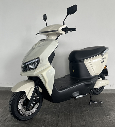 绿驹牌LJ1000DT-7C电动两轮摩托车公告图片