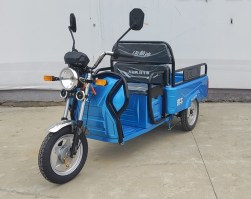 电动正三轮摩托车