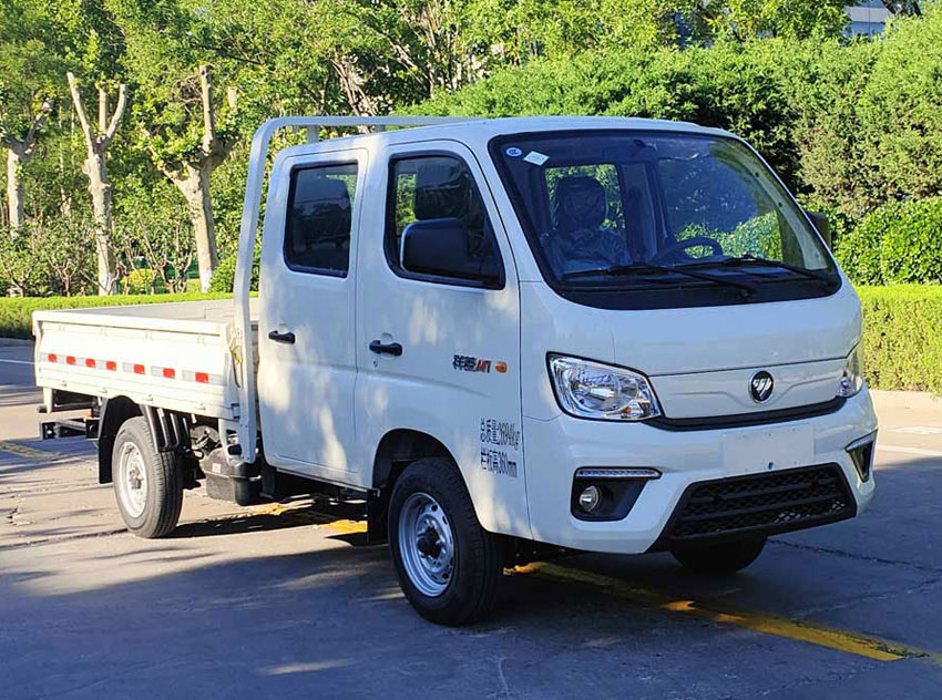 福田牌BJ1031V3ACA-01载货汽车图片