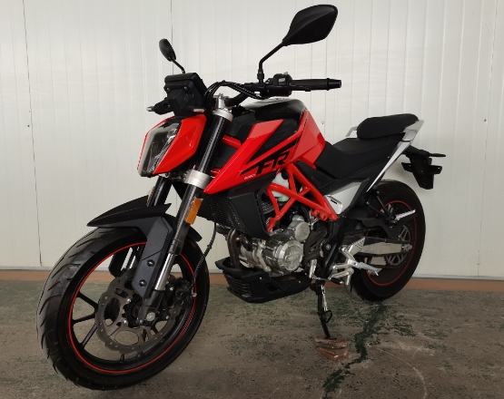 XY250-27 鑫源牌250CC汽油前盘式后盘式两轮摩托车图片