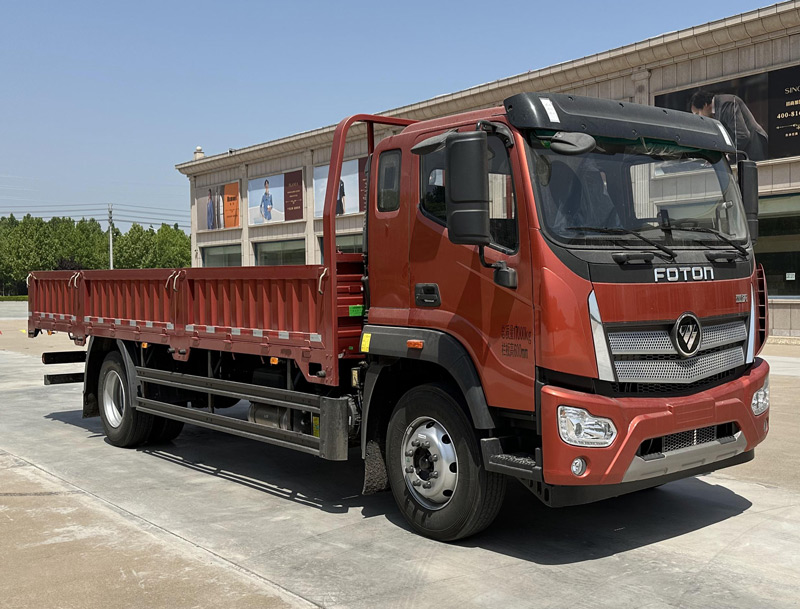 福田牌 220马力 载货汽车(BJ1174VJPDA-01)