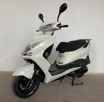 金轮牌JL125T-10F两轮摩托车图片