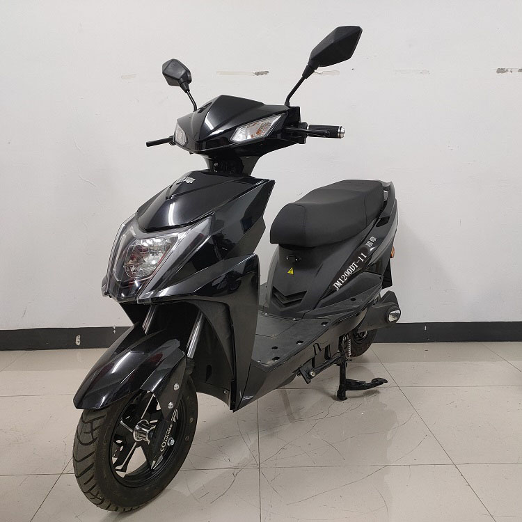 JM1200DT-11 建摩牌纯电动前盘式后鼓式电动两轮摩托车图片