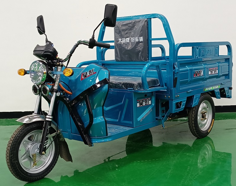 昊彭牌HP1200DZH-3电动正三轮摩托车公告图片