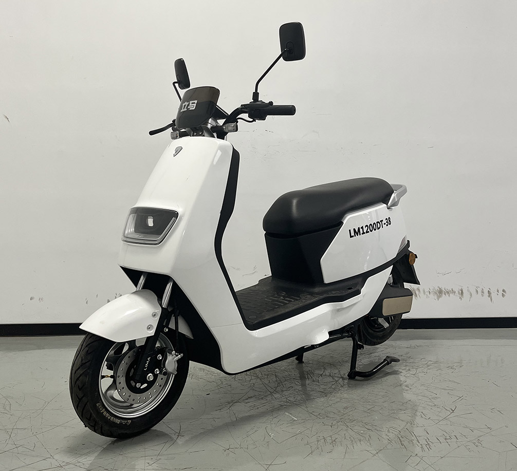 LM1200DT-38 立马牌纯电动前盘式后鼓式电动两轮摩托车图片