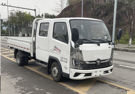 福田牌 122马力 载货汽车(BJ1031V4AV6-AB6)