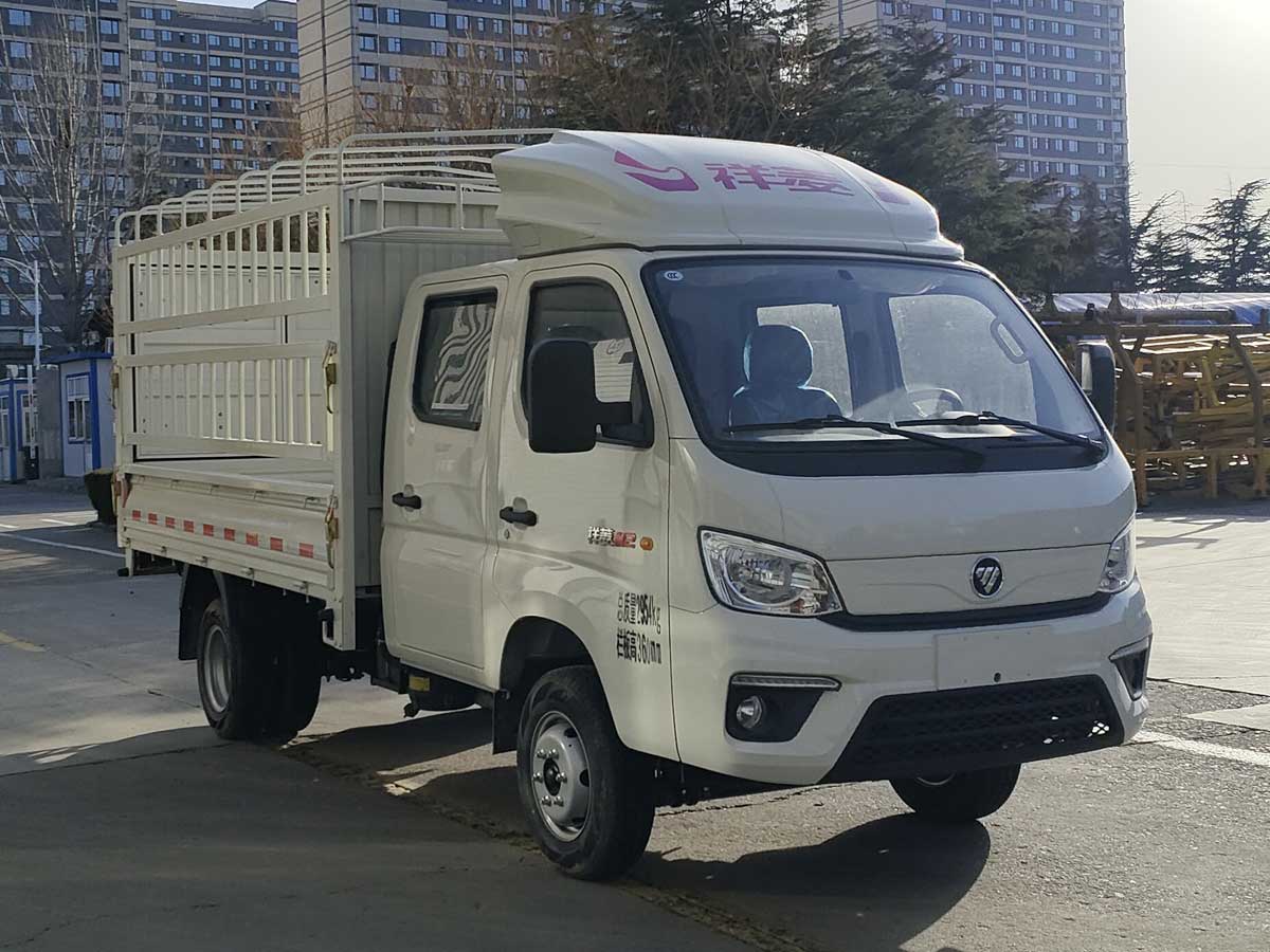 BJ5032CCY3AV6-15型仓栅式运输车图片