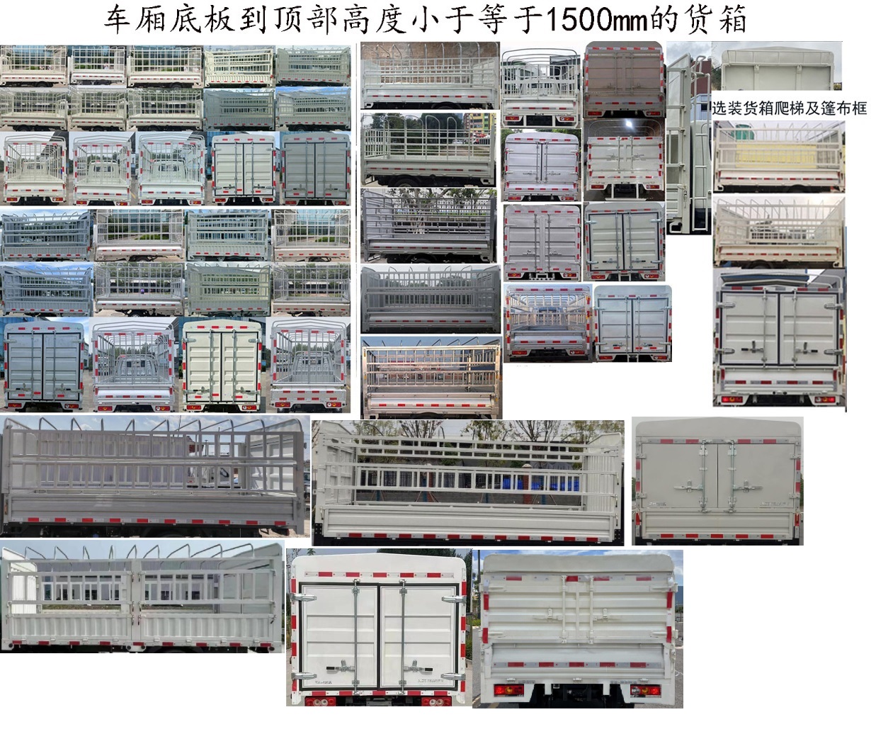 福田牌BJ5045CCY9PBA-55倉柵式運輸車公告圖片