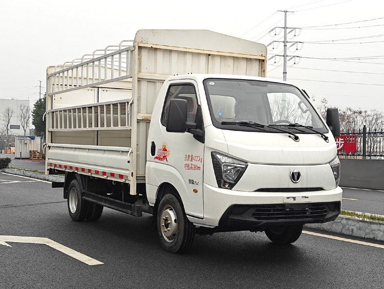 飞碟牌FD5048CCYD66K6-1仓栅式运输车