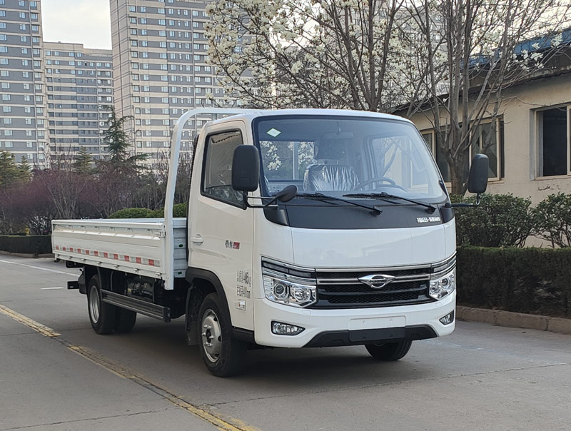 BJ1045VAJC6-20 福田牌129马力单桥CNG4.2米国六载货汽车图片