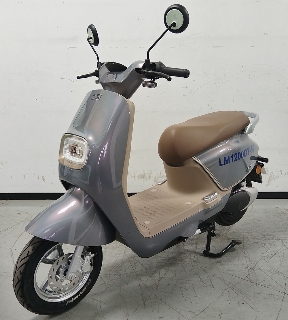 立马牌LM1200DT-59电动两轮摩托车公告图片