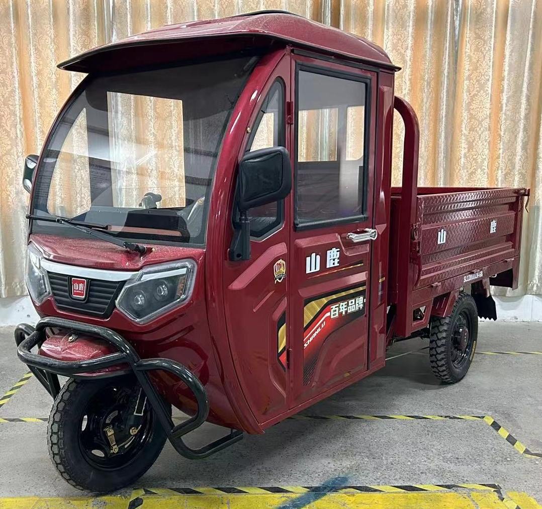 山鹿牌SL1200DZH-6B电动正三轮摩托车图片